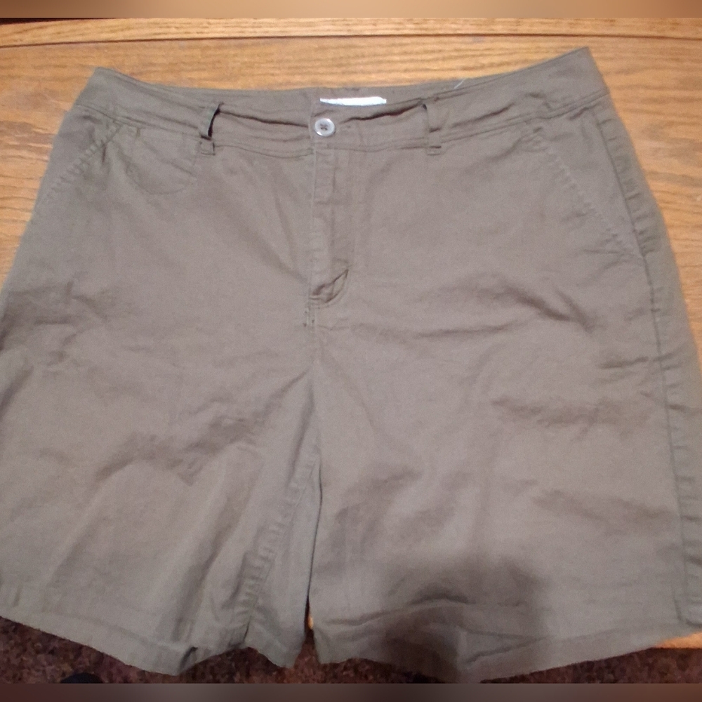 Women's Shorts Size 10